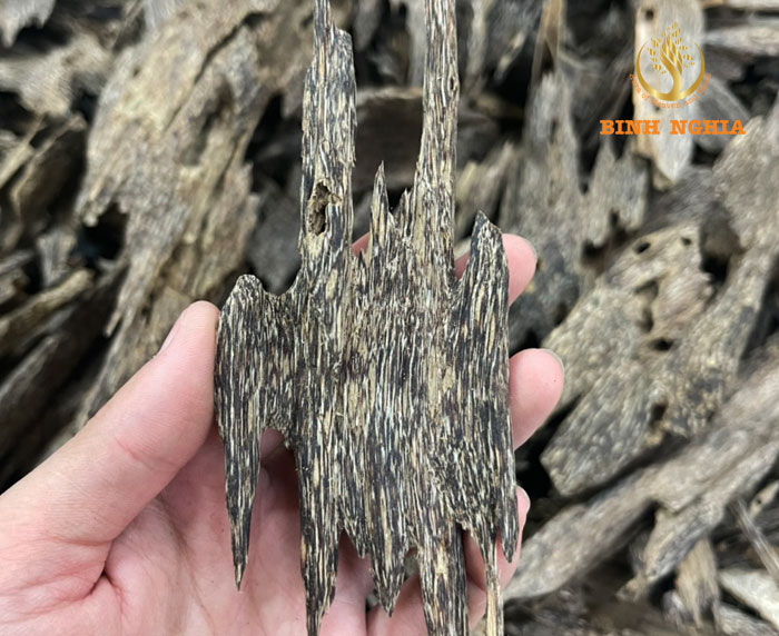 The situation of using Agarwood in UAE