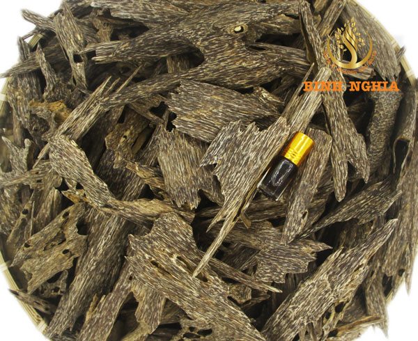 Is the best Agarwood (oud) of the world in Vietnam?